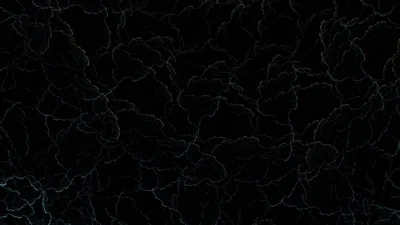Thin pale veins branch across a black surface like frost, the pattern even from edge to edge.