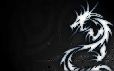 A white tribal dragon coils across the right side of a carbon-weave background, its tail sweeping down to the bottom edge.