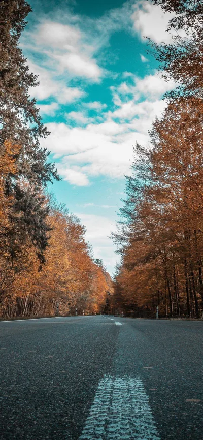 A dashed centre line runs up an empty grey road between walls of orange autumn trees, the pale clouded sky opening at the top for icons.
