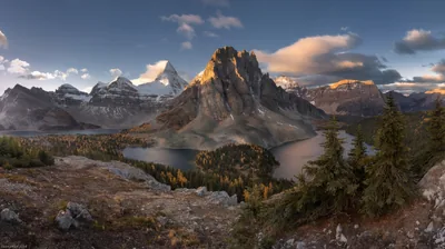 Evening light catches a rock tower standing over two lakes fringed with golden larches, a snowy pyramid rising behind in this wide panorama.