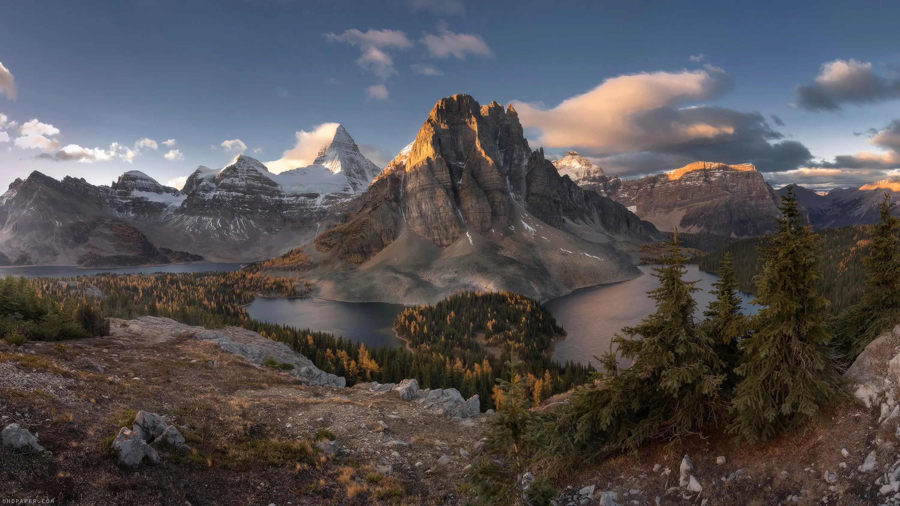 Evening light catches a rock tower standing over two lakes fringed with golden larches, a snowy pyramid rising behind in this wide panorama.