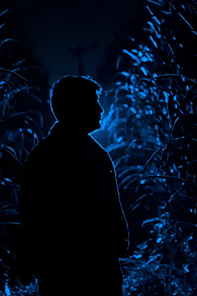 The profile of a man stands out in full black against tall blue moonlit stalks, and the lower left corner stays dark enough for phone icons.