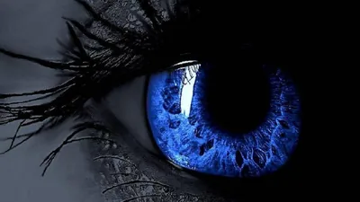 An extreme close-up of an eye with a deep cobalt iris and black pupil, lashes and skin left in near-monochrome shadow around it.