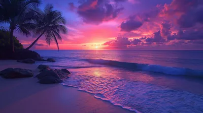 A palm leans over dark boulders on white sand while magenta and violet clouds pile above turquoise surf, rendered in heavily saturated colour.