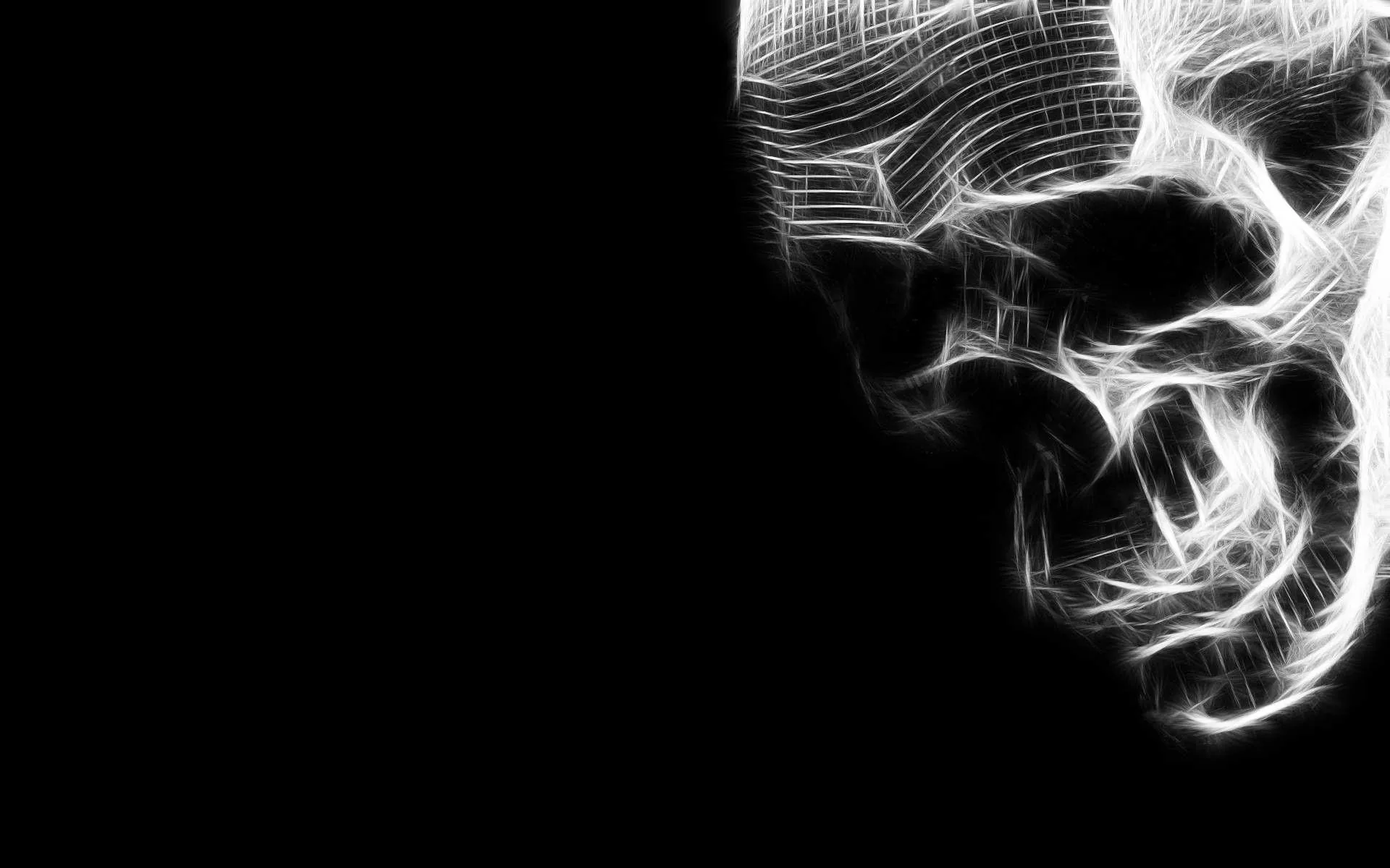 A skull built from fine white strands sits on the right side of the frame, the left half left completely empty.