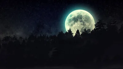 A giant moon with a cool teal glow climbs behind a jagged pine treeline, the forest and lower third staying solid black.