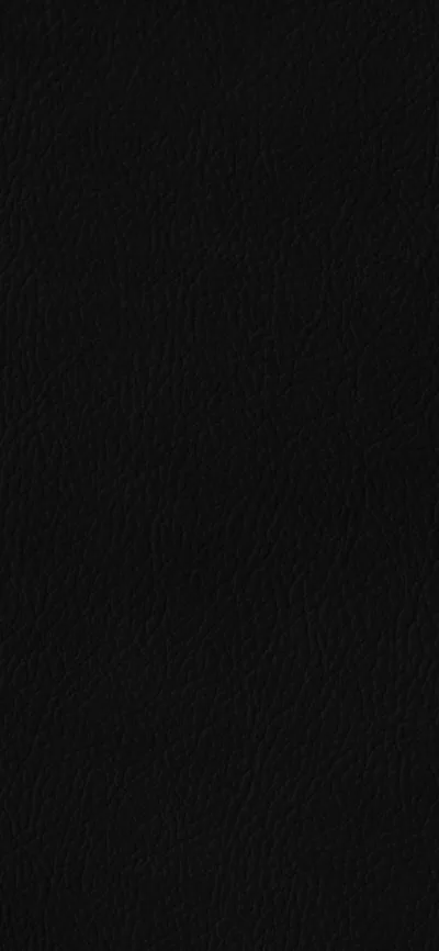 Even pebbled grain fills the frame in flat black, the texture only surfacing where light grazes it from the left.
