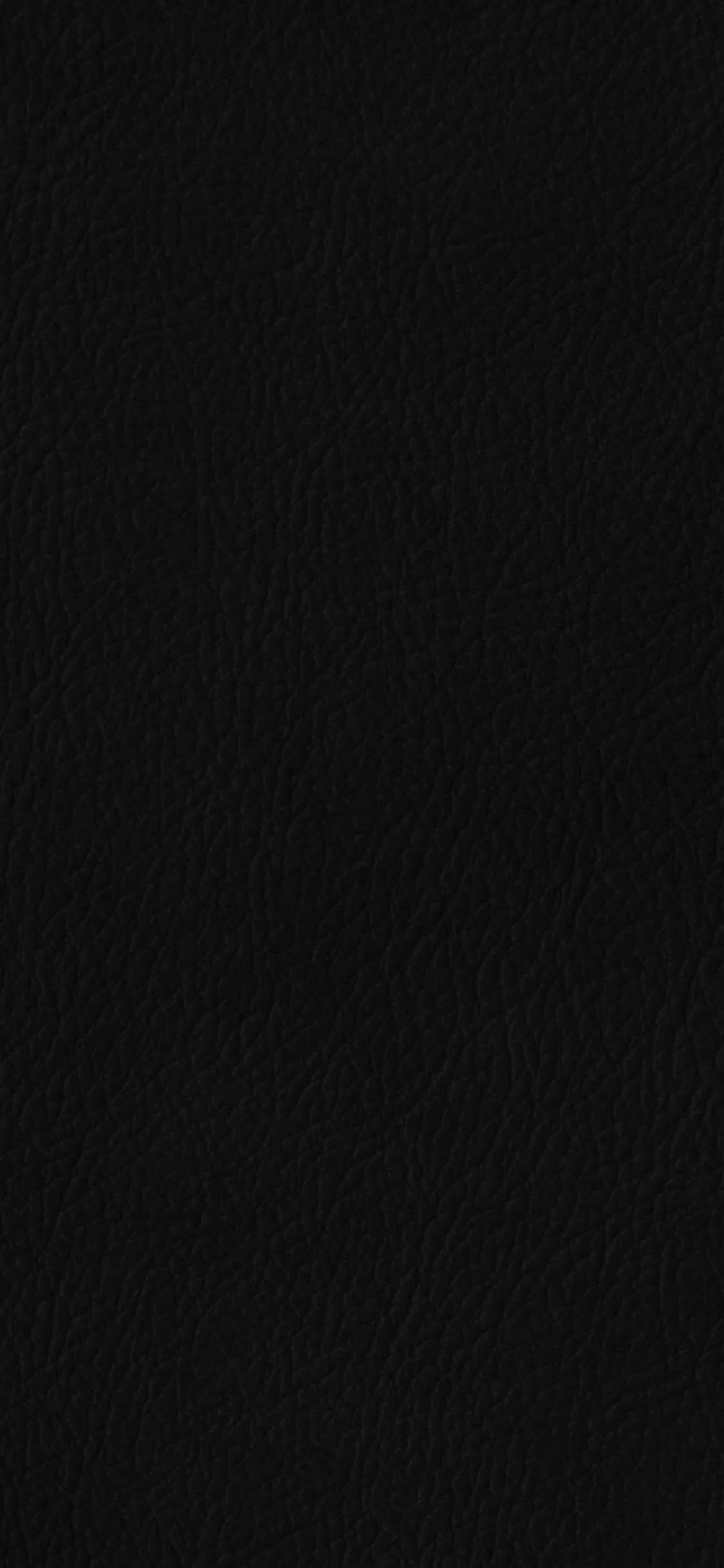 Even pebbled grain fills the frame in flat black, the texture only surfacing where light grazes it from the left.