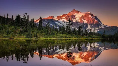 Alpenglow turns a glaciated peak rose-pink above silhouetted pines, the still lake repeating the colour across the bottom half of the frame.