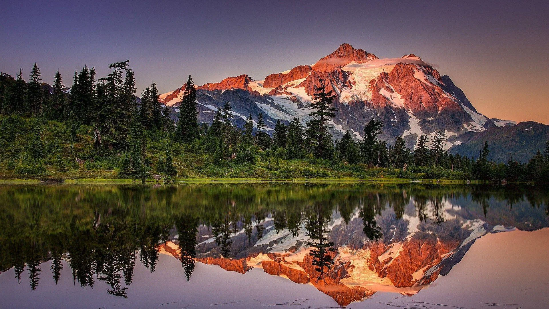Alpenglow turns a glaciated peak rose-pink above silhouetted pines, the still lake repeating the colour across the bottom half of the frame.