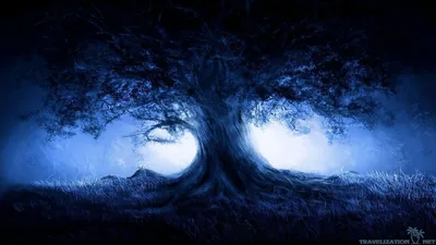 A broad twisted tree stands against cold blue mist, its trunk and roots picked out in silhouette.