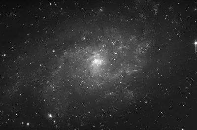 A loose spiral galaxy photographed face-on in monochrome, its arms breaking into knots of star formation against a quiet black field.