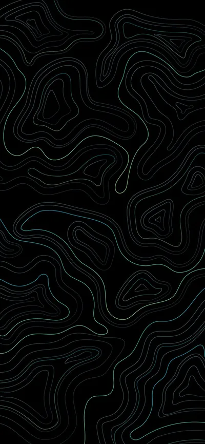 Thin white contour lines loop and nest like a topographic map, drawn across a matte black background.