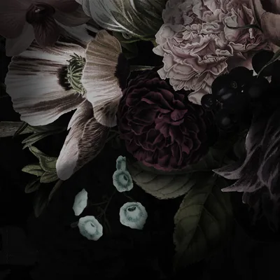 Anemones, peonies and a near-black rose crowd a Dutch-style arrangement, lit from the left with the lower right corner in shadow.