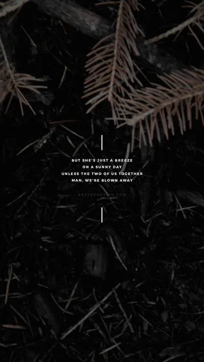 Fir fronds reach in from the left over near-black ground litter, a short white quote centred between two hairlines where the needles thin out.