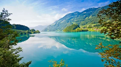 Soft light from the left evens out this milky green lake, whose smooth middle band carries icons cleanly between the dark foliage at the corners.