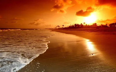 An orange sky reflects off a sheet of shallow water on the beach while a line of white foam curves in from the left, palms faint on the horizon.
