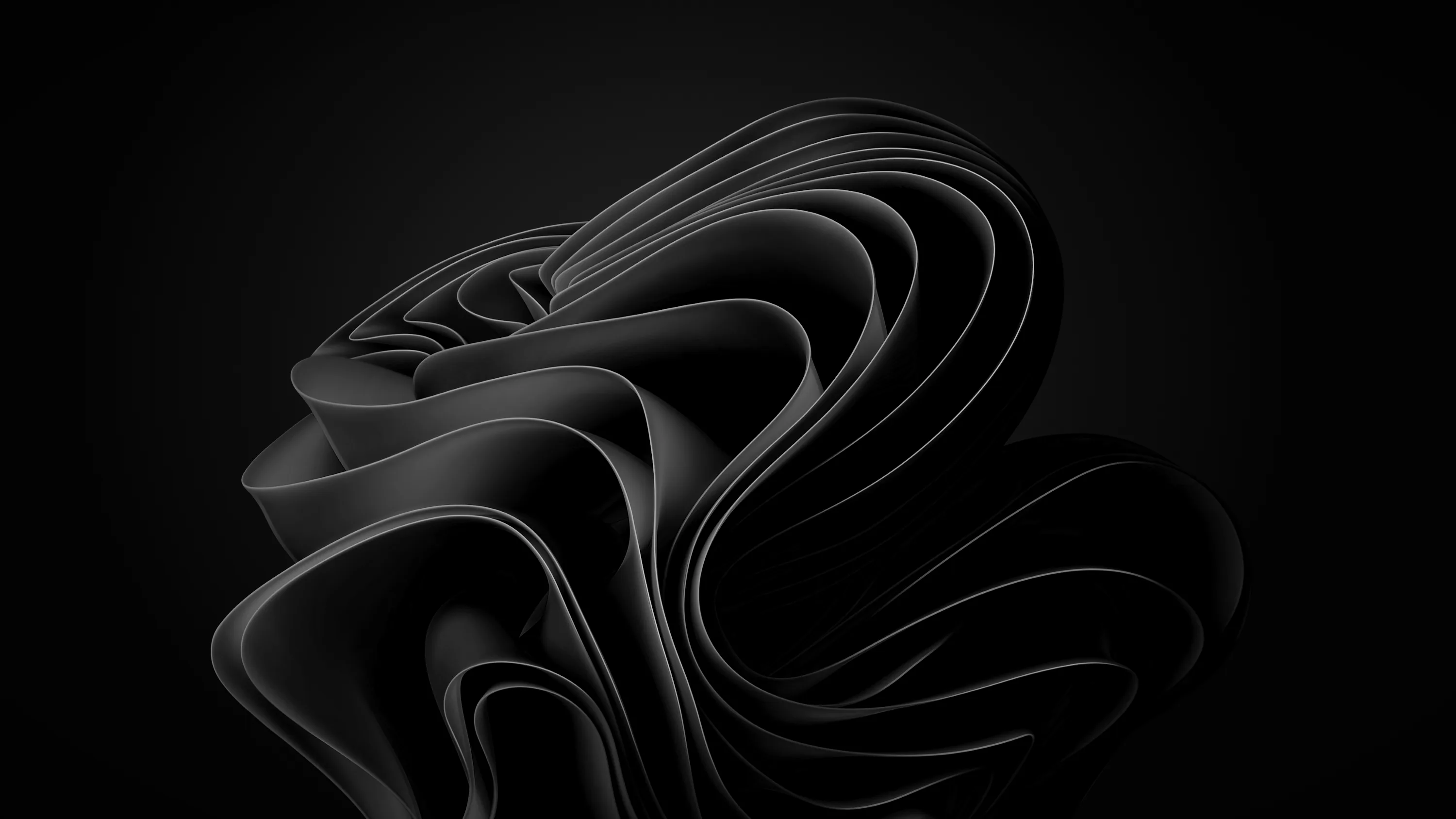 The Windows 11 bloom rendered as layered black ribbons, separated only by the light running along each fold.