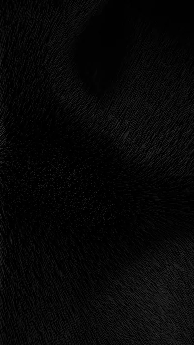 Short dark fur fills the whole frame, the pile shifting direction just enough to break up the flat black.