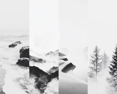 Four narrow panels side by side: a rocky coastline, a misted peak, wind-smoothed snow dunes, and a single spruce in haze.