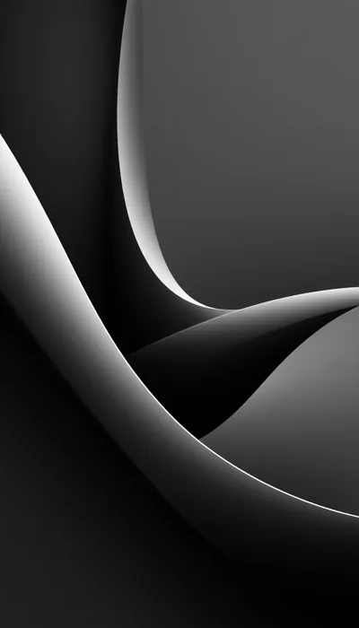 A polished band sweeps in an S through the frame, its highlight running white along the top edge and dropping to black underneath.