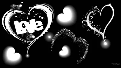 Rough white brush hearts across black, the word love painted inside the largest one and a trail of speckled dots curving through the middle.