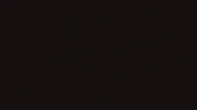 One unbroken fill covers the frame, black with a faint warm brown cast and no grain, gradient or pattern anywhere in it.