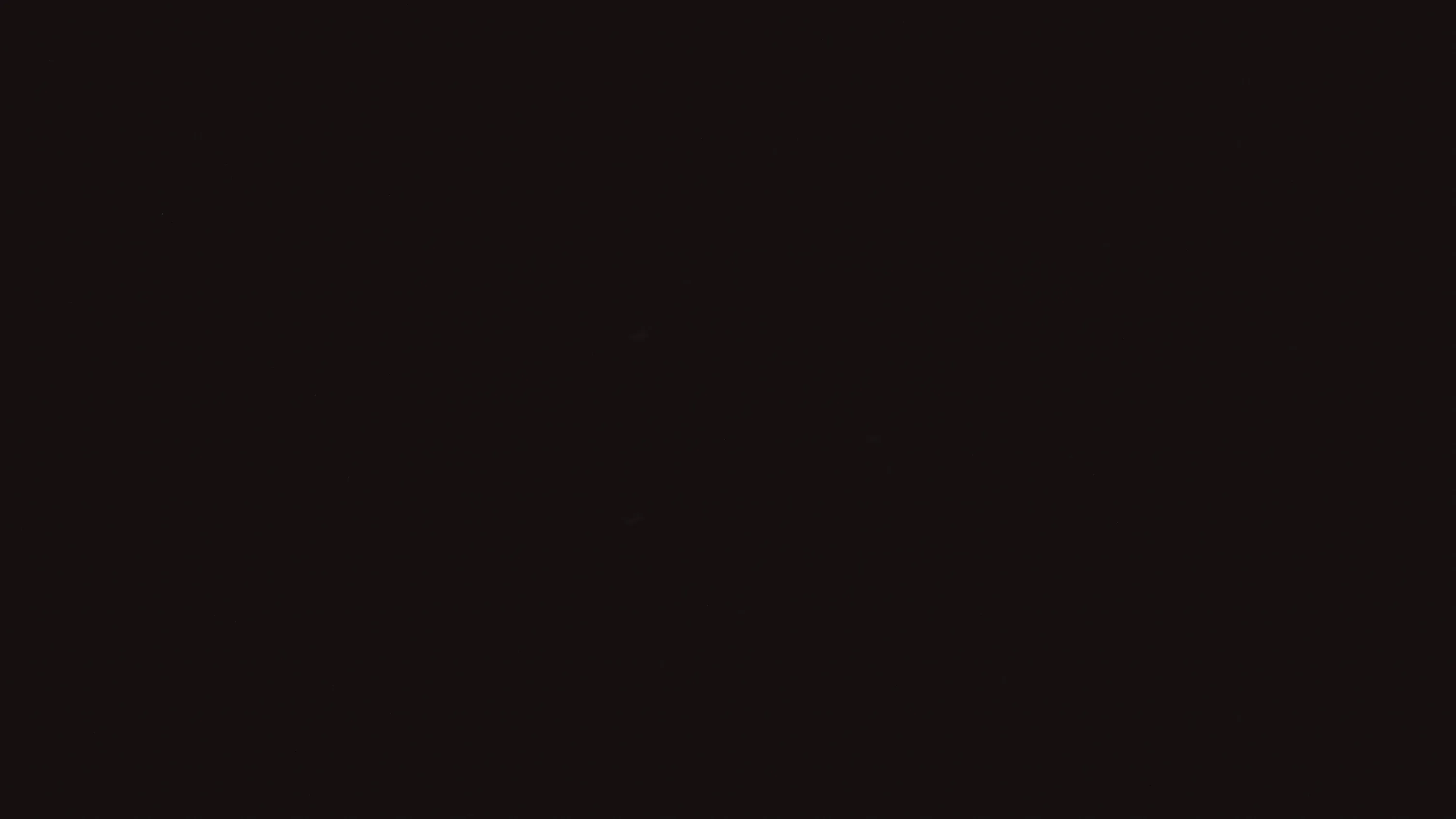 One unbroken fill covers the frame, black with a faint warm brown cast and no grain, gradient or pattern anywhere in it.