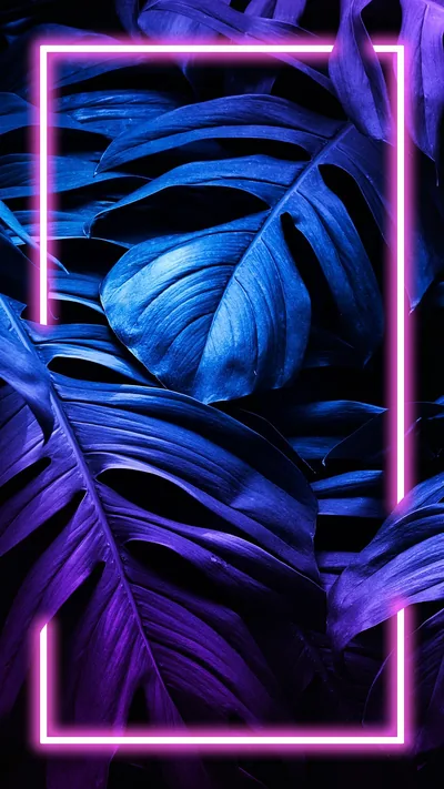 A pink rectangle of neon stands over monstera leaves toned blue and violet, its glow warming the nearest leaves while the corners fall dark.