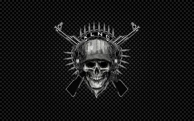 A helmeted skull badge with crossed rifles and a bandolier of bullets, set against a woven carbon fibre background.