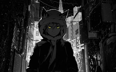 Yellow eyes stare out from under a hood with cat ears, the whole narrow alley of signs and fire escapes behind him left in grey monochrome.