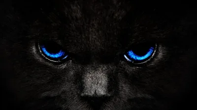 A dark cat looks straight into the lens, bright blue eyes lit against fur that almost disappears into the background.