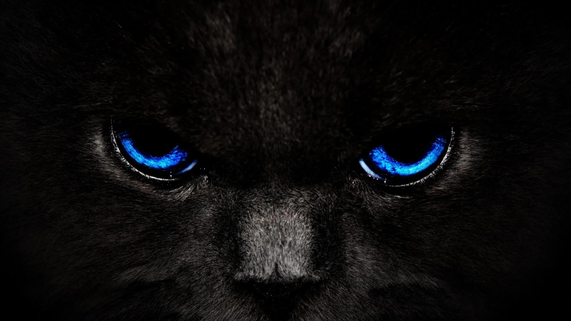 A dark cat looks straight into the lens, bright blue eyes lit against fur that almost disappears into the background.