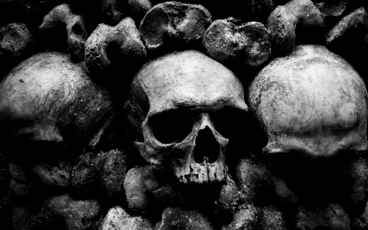 Real skulls piled among long bones fill the wall, one facing forward at centre, shot in high contrast black and white.