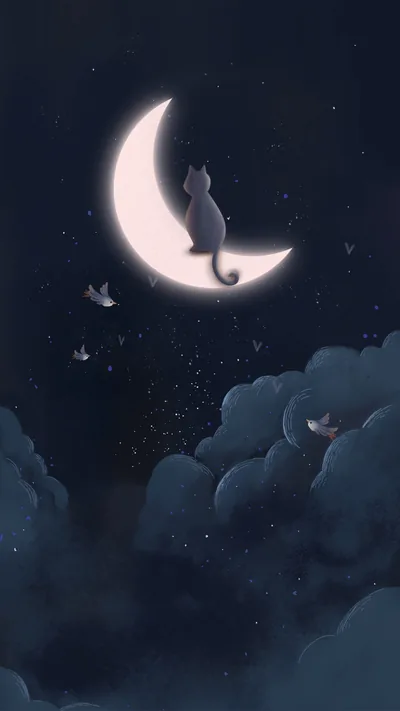 An illustrated cat sits in silhouette on a glowing crescent in the upper left, soft blue-grey clouds filling the lower third while tiny birds drift between.