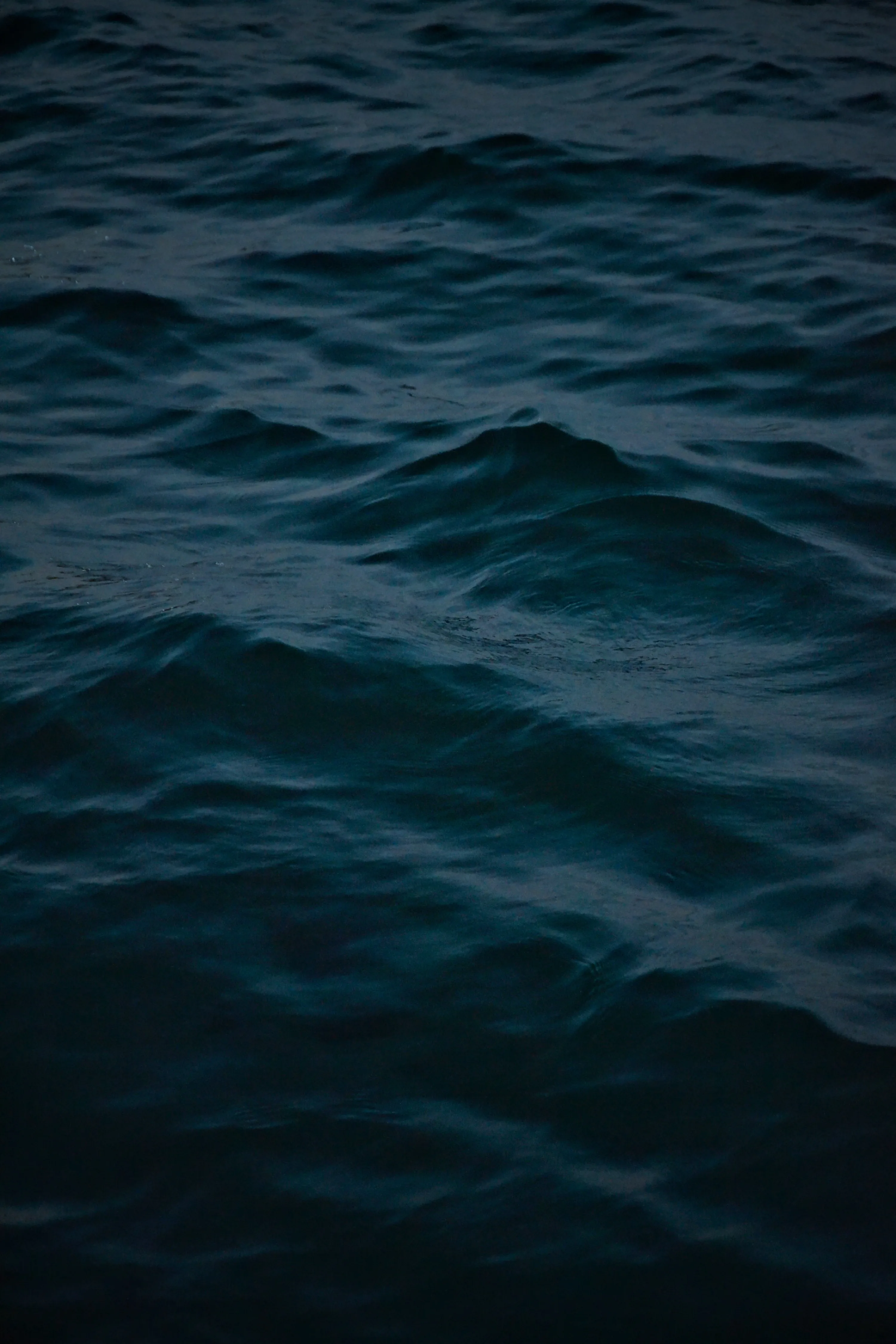 Low swells of deep teal water fill the whole vertical frame, the last light of dusk picking out pale crests on a few of the ridges.