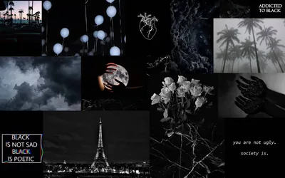Monochrome photos — the Eiffel Tower, white roses, storm cloud — tiled together with short typed phrases.