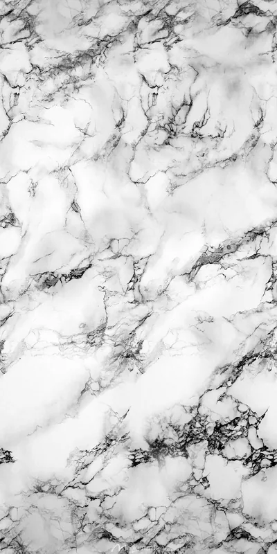 Fine grey veining runs in diagonal branches across a white marble slab, shot flat and close for a clean vertical fill.