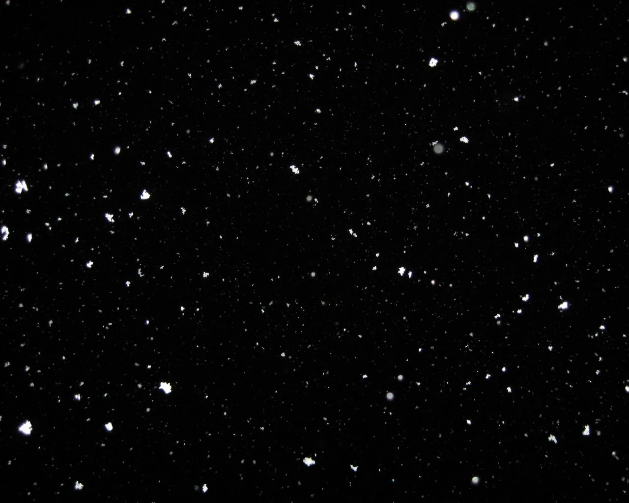 Sharp white specks scatter like snowfall over true black, slightly denser along the left edge, reading as plain black from across the room.