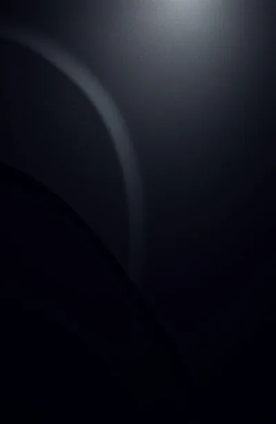 Two broad curves sweep down a near-black vertical frame, a single soft light at the top picking out their inner edges.