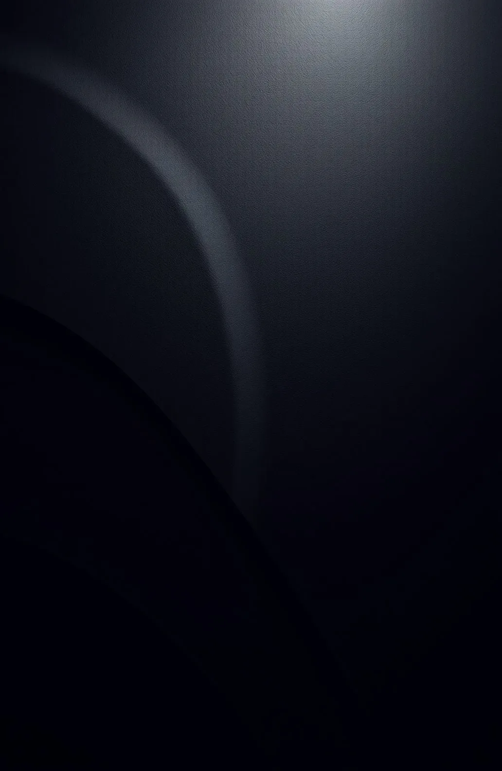 Two broad curves sweep down a near-black vertical frame, a single soft light at the top picking out their inner edges.