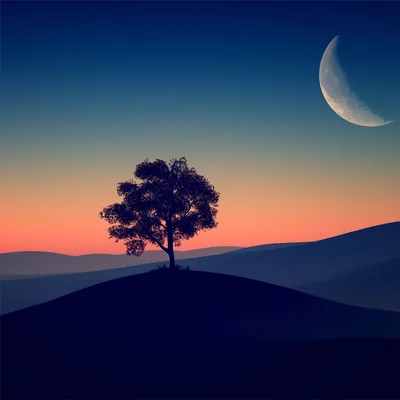 An oversized waning moon hangs in the top right over layered dusk hills and a single tree, its glow the brightest point in the square frame.