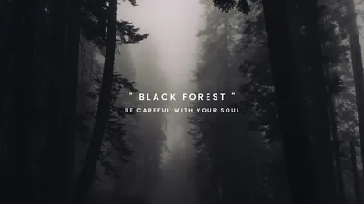 A path runs between tall pines swallowed by fog, 'Black Forest' set in thin white caps across the middle of the frame.