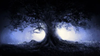 A gnarled tree stands in silhouette against pale blue fog, its bare branches spreading over dark grass at the base.