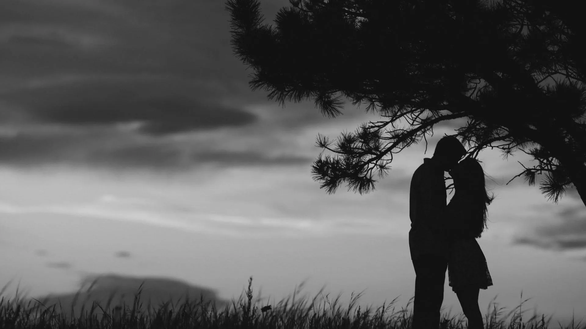 Two people meet for a kiss in silhouette beneath overhanging pine branches, tall grass in front and a bank of soft cloud filling the monochrome sky.