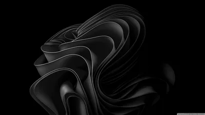 The Windows 11 bloom folded into black, each layer picking up a thin edge of grey light.