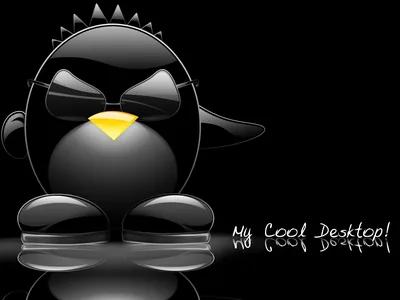 A glossy penguin character stands centre frame with handwritten text beside it and a reflection underneath.