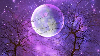 A pale moon glows through bare tree branches in a glittering purple sky, the sparkling backdrop reading like falling snow on a fantasy night.