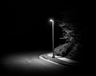 A single street lamp lights a curved kerb and one bush in black and white, everything beyond the cone of light dropping to solid darkness.