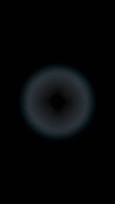 A fine web of overlapping curves forms a pale ring around a dark centre, so faint that the rest of the frame stays completely black.